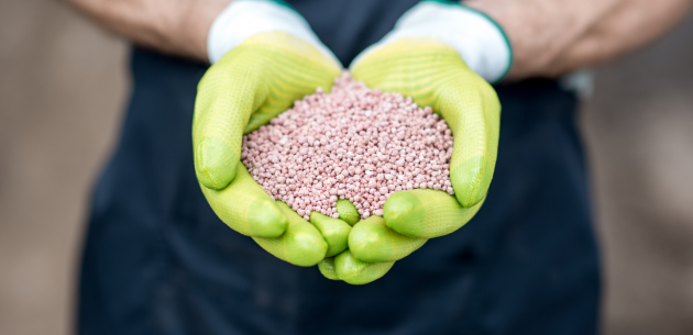 What to do when the prices of mineral fertilizers are rising? Look for alternatives!
