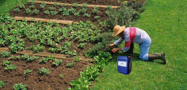 Использование препарата „Агрозин” при выращивании садовых культур